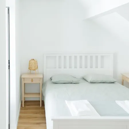 The Marigold Flower Of Apartment Lisbon